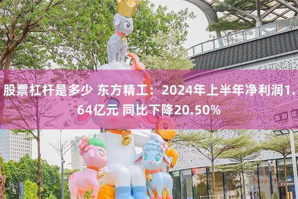 股票杠杆是多少 东方精工：2024年上半年净利润1.64亿元 同比下降20.50%