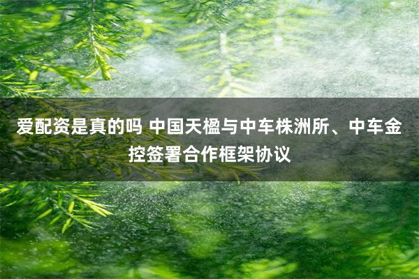 爱配资是真的吗 中国天楹与中车株洲所、中车金控签署合作框架协议