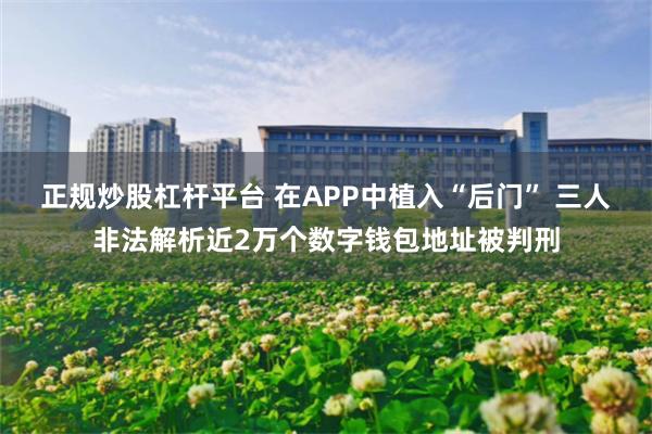 正规炒股杠杆平台 在APP中植入“后门” 三人非法解析近2万个数字钱包地址被判刑