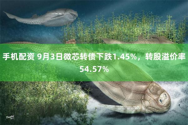 手机配资 9月3日微芯转债下跌1.45%，转股溢价率54.57%