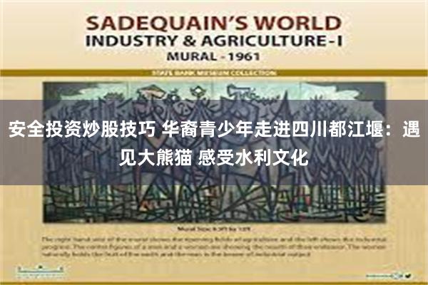 安全投资炒股技巧 华裔青少年走进四川都江堰：遇见大熊猫 感受水利文化