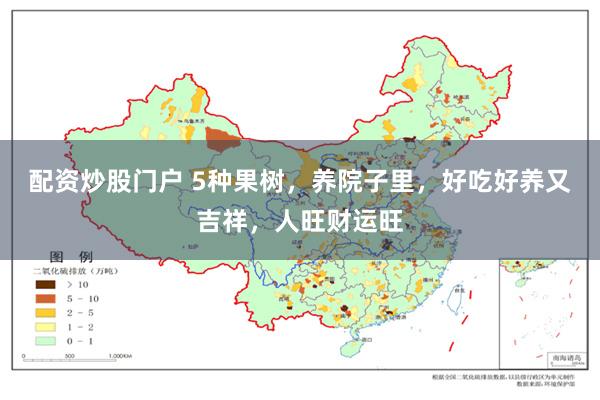 配资炒股门户 5种果树，养院子里，好吃好养又吉祥，人旺财运旺