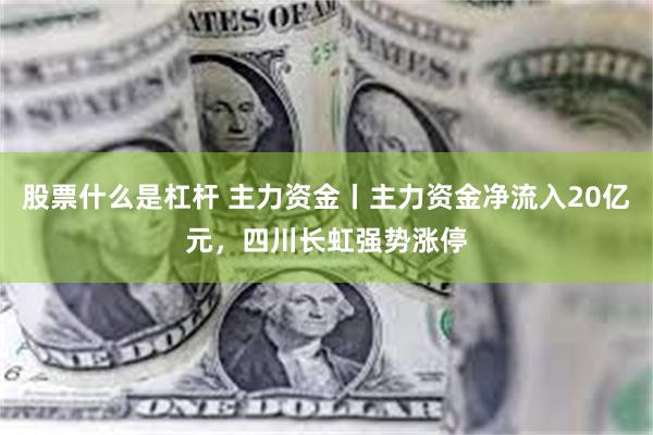 股票什么是杠杆 主力资金丨主力资金净流入20亿元，四川长虹强势涨停