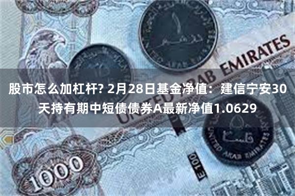 股市怎么加杠杆? 2月28日基金净值：建信宁安30天持有期中短债债券A最新净值1.0629