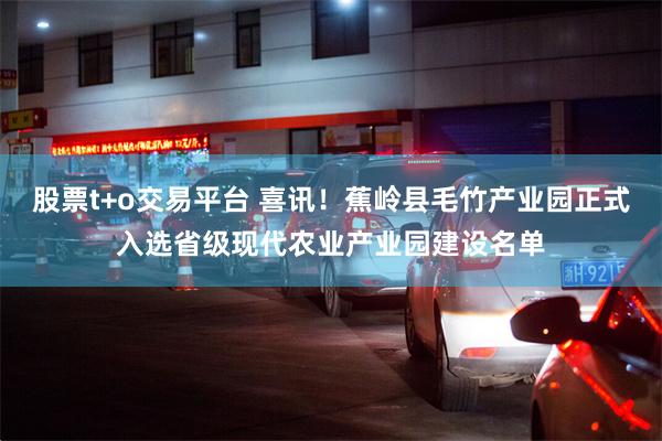 股票t+o交易平台 喜讯！蕉岭县毛竹产业园正式入选省级现代农业产业园建设名单